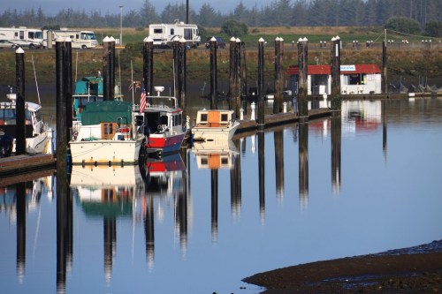 Boats docked at a calm marina, reflecting on the water, with wooden posts and a small building in the background.