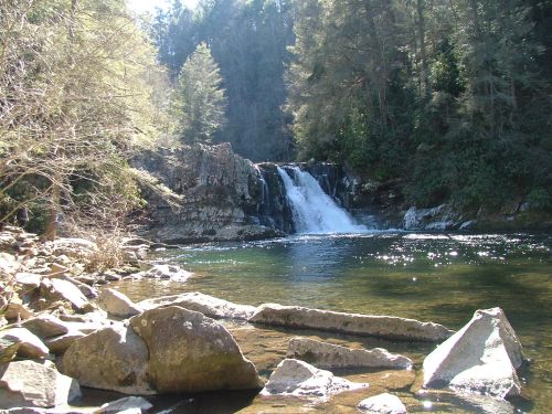 A serene waterfall cascades into a clear pool, surrounded by lush trees and rocky terrain.