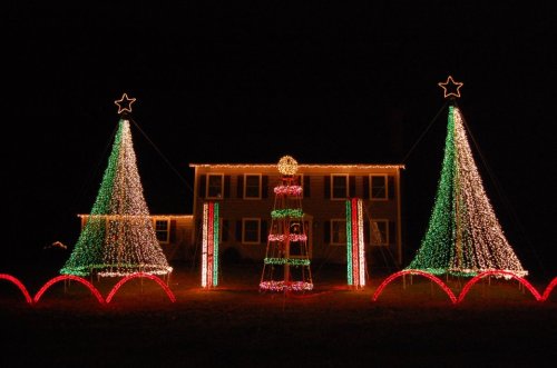Colorful Christmas lights decorate two trees and a central ornament in front of a house at night.
