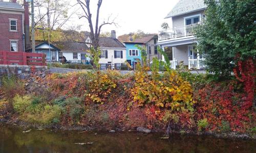 A scenic view of colorful autumn foliage along a riverbank, with charming houses in the background.