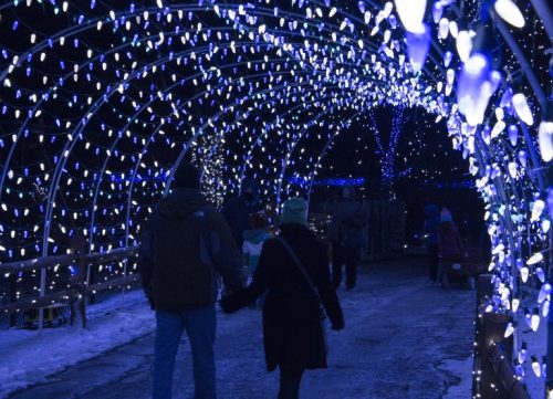 A couple walks hand-in-hand through a tunnel of blue and white holiday lights at night.