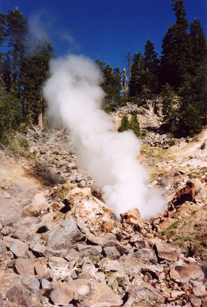Steam rises from a rocky geothermal area surrounded by trees under a clear blue sky.