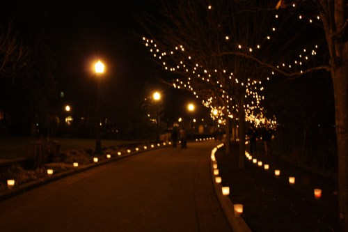 A dimly lit pathway lined with glowing lanterns and trees adorned with string lights, creating a warm, inviting atmosphere.