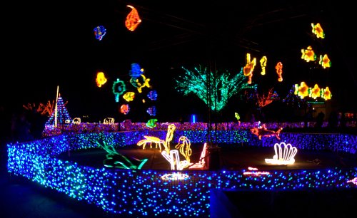 Colorful light displays in various shapes illuminate a dark night, creating a festive and vibrant atmosphere.