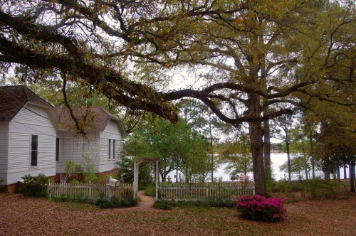 A serene view of a house by a lake, surrounded by trees and colorful flowers, with a white picket fence.