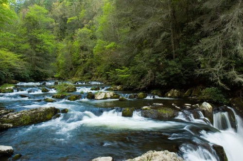 A serene river flows through a lush green forest, with smooth rocks and gentle rapids creating a tranquil scene.