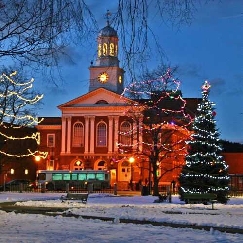 City Hall adorned with holiday lights, surrounded by decorated trees and a snowy park at dusk.