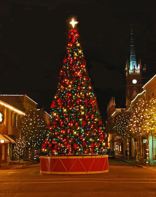 A brightly lit Christmas tree adorned with red bows and colorful lights, surrounded by festive street decorations at night.