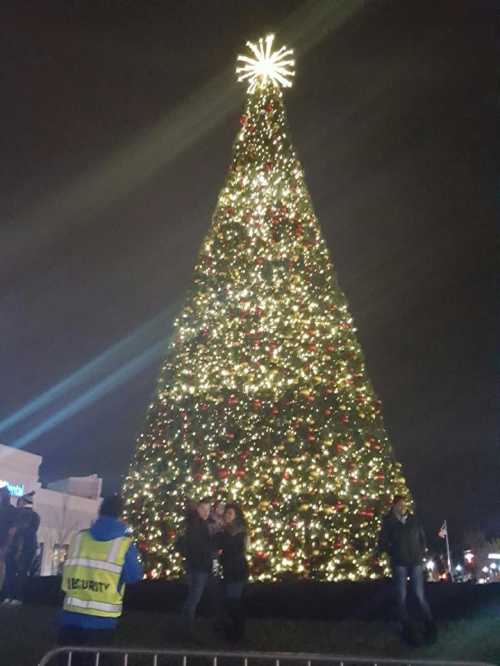 A large, brightly lit Christmas tree adorned with ornaments and a star on top, with people gathered nearby at night.