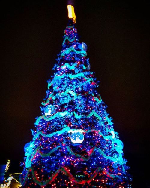 A brightly lit Christmas tree adorned with blue and colorful ornaments, glowing against a dark background.