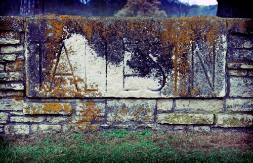 alt