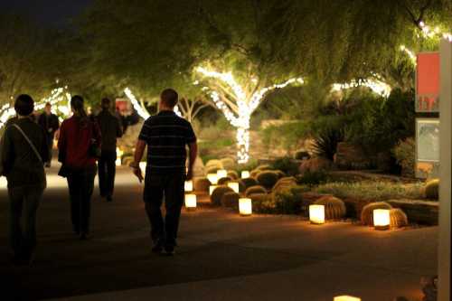 People walking along a path lined with glowing lanterns and illuminated trees at night.