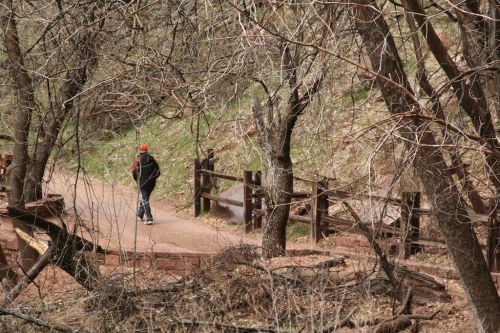 A person walks along a dirt path surrounded by bare trees and wooden fencing in a natural setting.
