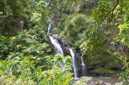 A serene waterfall cascades through lush greenery in a tropical forest setting.