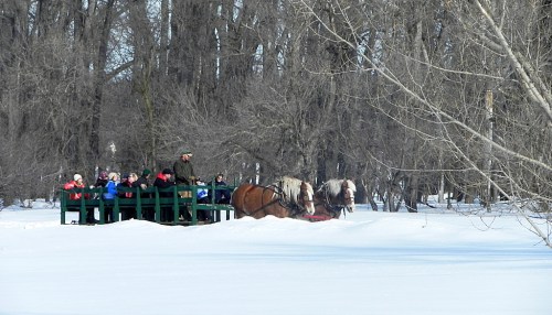 A horse-drawn sled carries children through a snowy landscape, surrounded by bare trees.