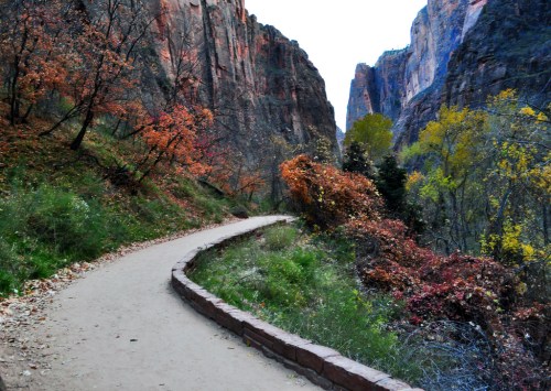 A winding dirt path through a canyon with colorful autumn foliage and towering rock formations on either side.