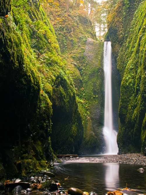 A serene waterfall cascades between lush green cliffs, surrounded by vibrant foliage and a tranquil stream below.