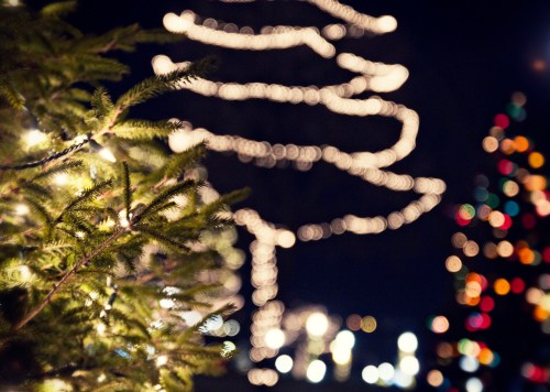 A blurred night scene featuring trees adorned with twinkling holiday lights in various colors.