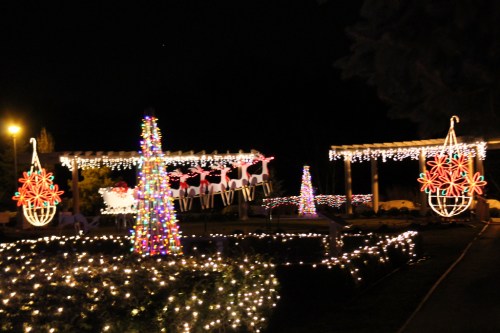 Colorful holiday lights illuminate a park at night, featuring decorated trees, reindeer, and festive ornaments.