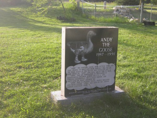 A memorial stone for Andy the Goose, 1987-1991, with an inscription about his life and impact on the community.