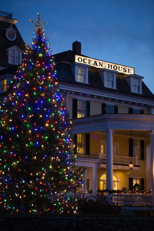 A brightly lit Christmas tree in front of the Ocean House hotel at dusk, with festive lights glowing.