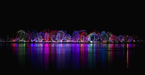 Colorful holiday lights illuminate trees along a lake, reflecting vibrant hues on the water's surface at night.