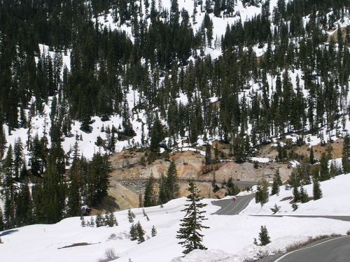 A snowy mountain landscape with evergreen trees and a winding road visible in the foreground.