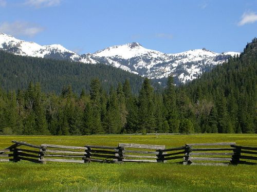 A scenic view of snow-capped mountains behind a lush green meadow and a rustic wooden fence.