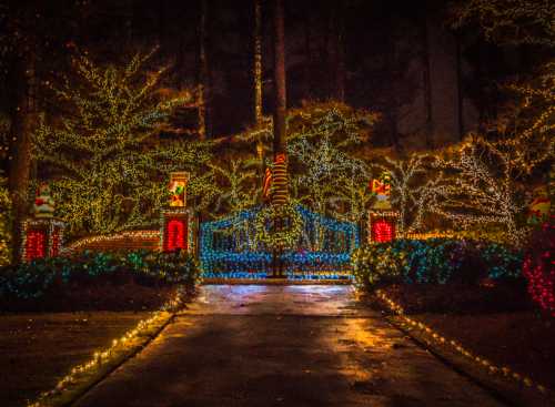 A beautifully lit entrance with colorful holiday lights and decorations, surrounded by trees at night.