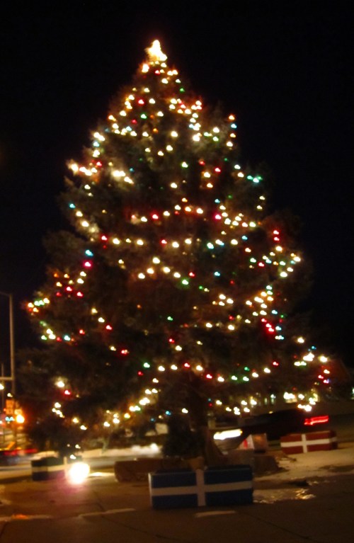 A brightly lit Christmas tree adorned with colorful lights, set against a night sky.
