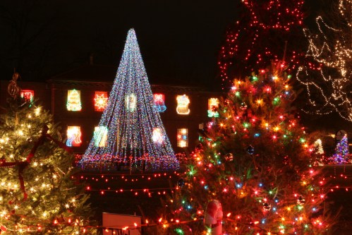 A festive display of colorful Christmas lights, featuring a lit tree and decorated trees in a nighttime setting.