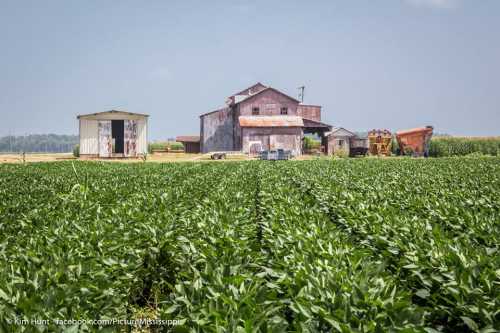 A rural scene featuring a green field, a barn, and a shed under a clear blue sky.