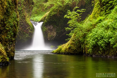 A serene waterfall cascades into a tranquil pool, surrounded by lush green foliage and misty cliffs.