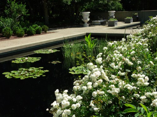 A serene garden scene featuring white flowers, lily pads, and a tranquil pond surrounded by lush greenery.