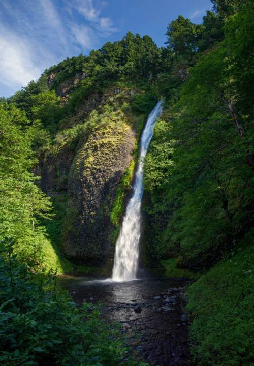 A tall waterfall cascades down a rocky cliff, surrounded by lush green trees and a serene pool at its base.