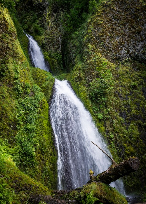 A serene waterfall cascading down moss-covered rocks, surrounded by lush greenery and a fallen log in the foreground.