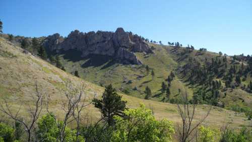 A scenic view of rocky hills and green slopes under a clear blue sky, with scattered trees in the foreground.