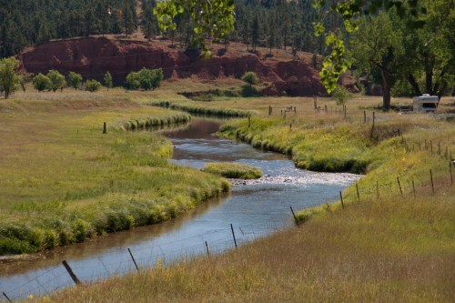 A winding stream flows through a grassy field, bordered by trees and red rock formations in the background.