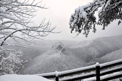 Snow-covered mountains and trees under a gray sky, with a wooden railing in the foreground.