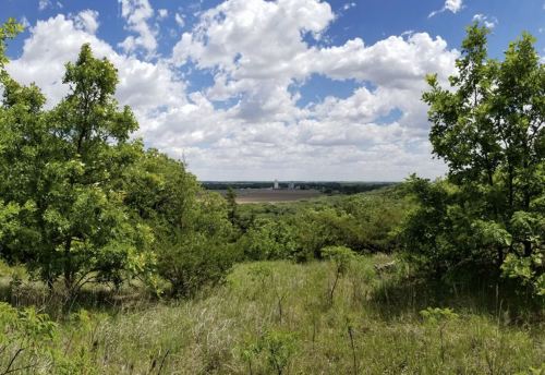 A panoramic view of lush green trees and fields under a bright blue sky with fluffy white clouds.