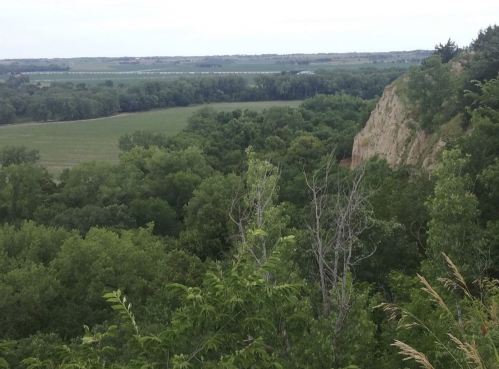 A scenic view of lush green trees and fields, with a rocky cliff in the foreground and a river in the distance.