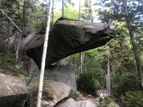 A large, flat rock balanced on a smaller boulder, surrounded by dense forest and trees.