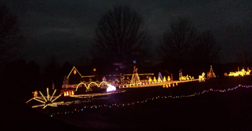 A house decorated with colorful Christmas lights, featuring trees, stars, and festive displays against a dark sky.