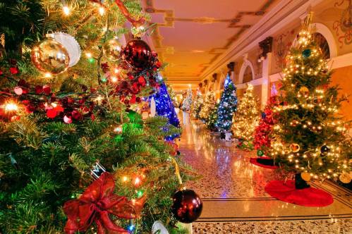 A festive hallway lined with beautifully decorated Christmas trees, adorned with colorful lights and ornaments.