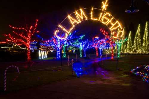 Colorful holiday lights illuminate trees and pathways in a festive nighttime scene.