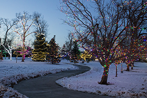 A snowy park path lined with trees adorned in colorful holiday lights at dusk.