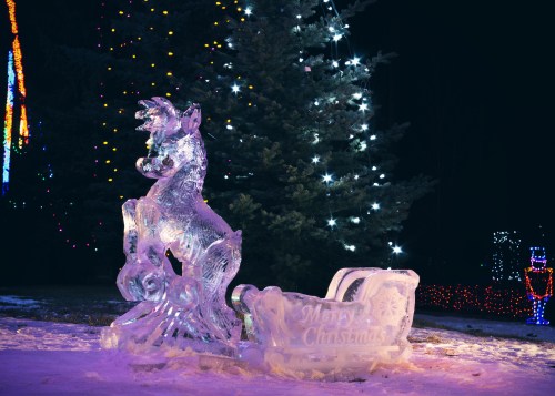 An ice sculpture of a horse pulling a sleigh, illuminated by colorful holiday lights in a winter setting.