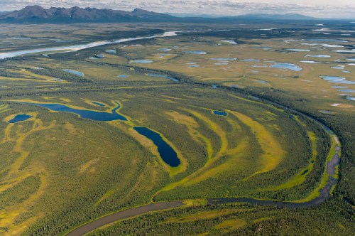Aerial view of a lush, winding river landscape with green fields and scattered water bodies under a cloudy sky.