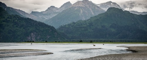 A serene landscape featuring mountains, a river, and two moose grazing near the water's edge.