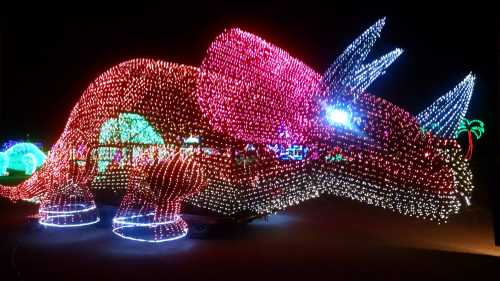 A large dinosaur sculpture made of colorful lights, glowing brightly against a dark night sky.